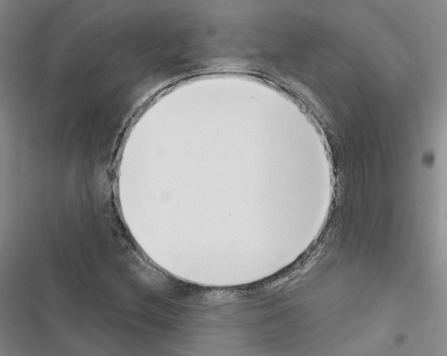 X0000116431212201001191504
