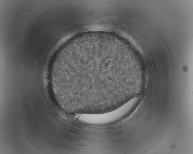 X0000116431213201001191504