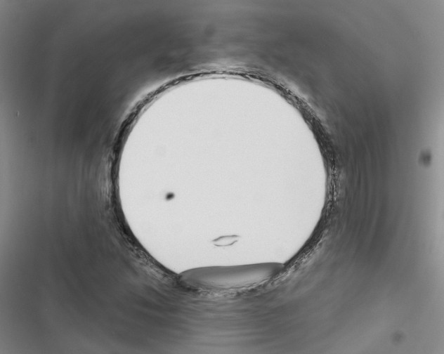 X0000116431214201001191504