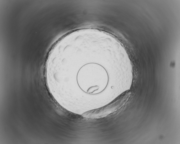 X0000116431216201001191504