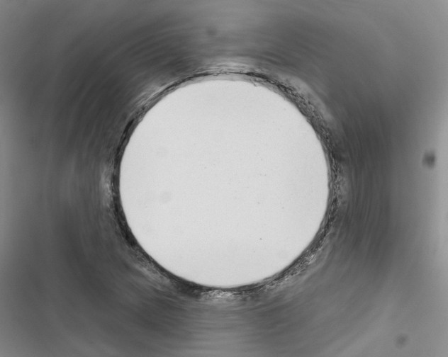 X0000116431217201001191504