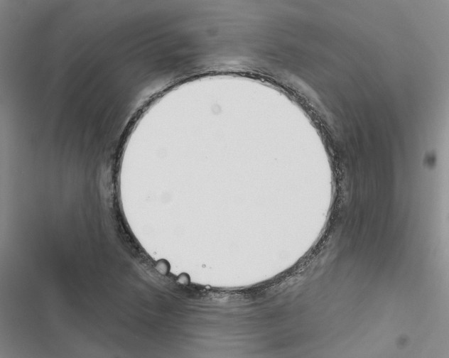X0000116431218201001191504