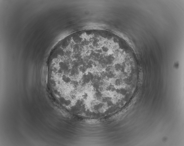 X0000116431219201001191504