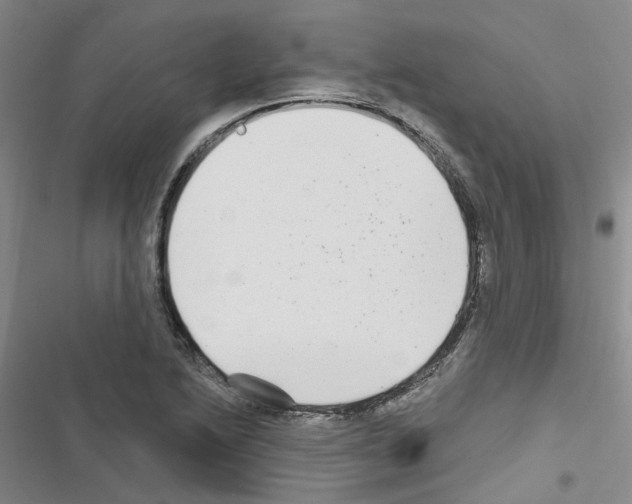 X0000116431222201001191504