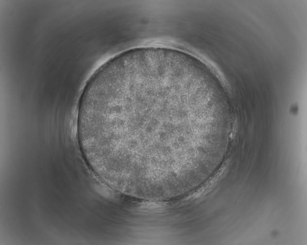 X0000116431224201001191504