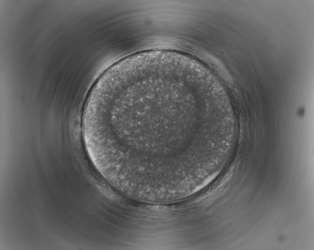 X0000116431226201001191504
