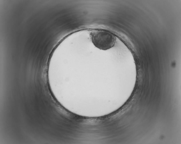 X0000116431228201001191504