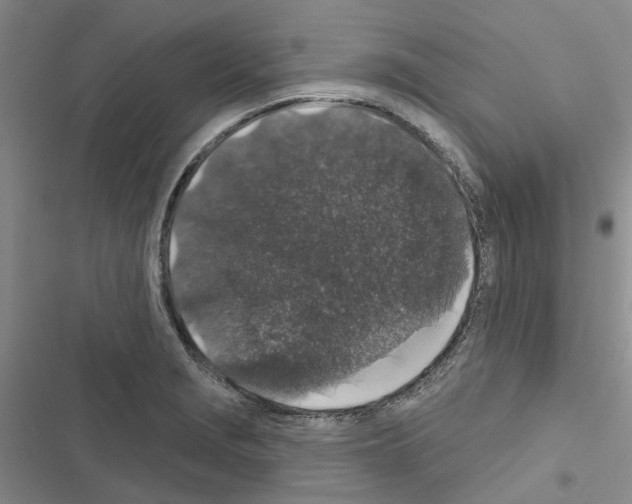 X0000116431229201001191504