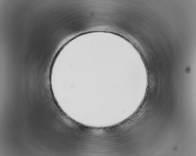 X0000116431230201001191504