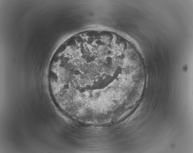 X0000116431231201001191504