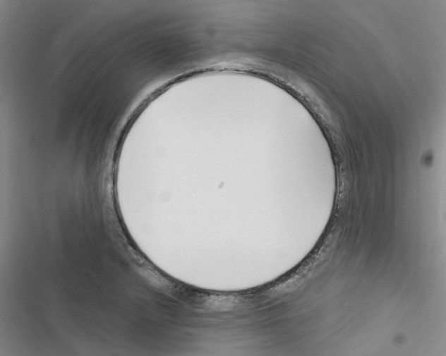 X0000116431232201001191504