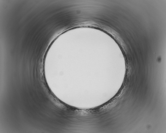 X0000116431234201001191504