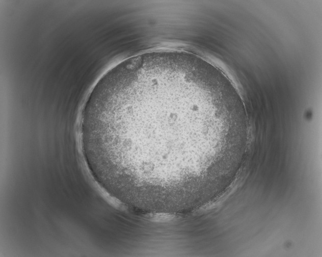 X0000116431235201001191504