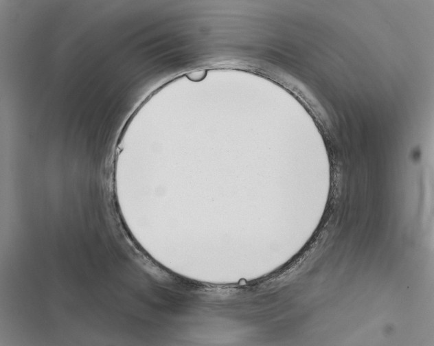 X0000116431236201001191504
