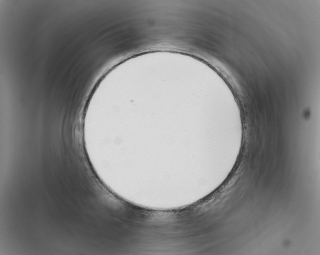 X0000116431238201001191504