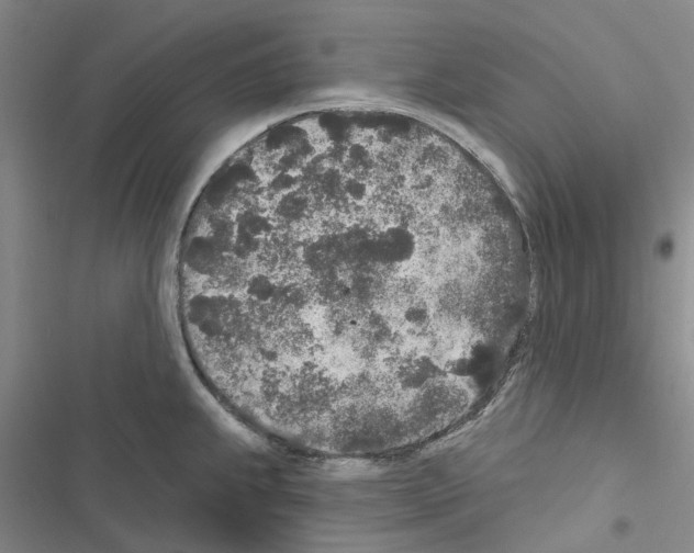 X0000116431239201001191504