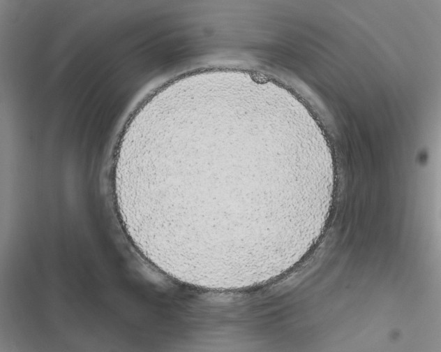 X0000116431240201001191504