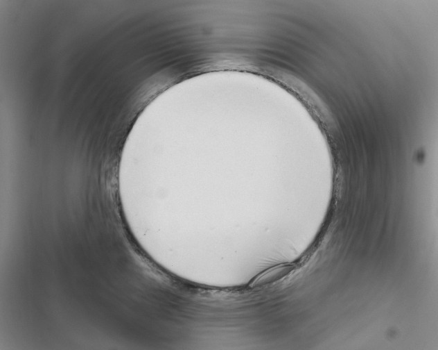 X0000116431241201001191504