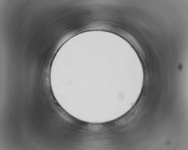 X0000116431242201001191504