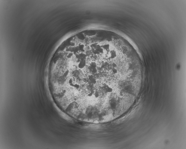 X0000116431245201001191504