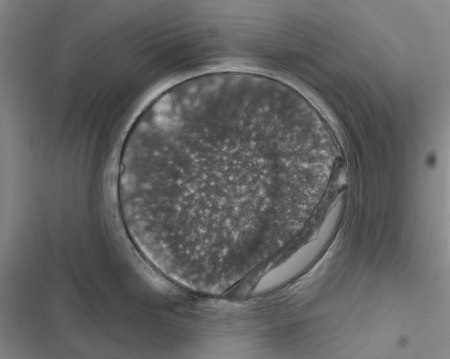 X0000116431246201001191504
