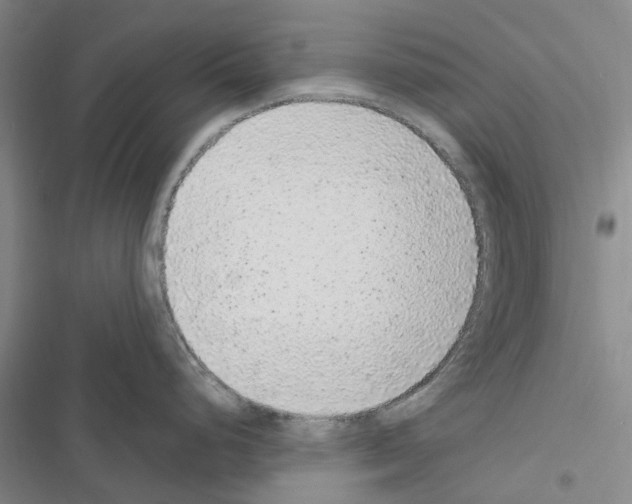 X0000116431248201001191504