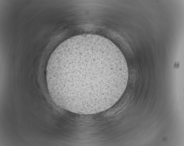 X0000116431249201001191503
