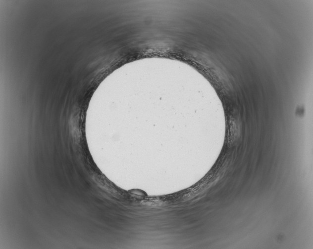 X0000116431250201001191503
