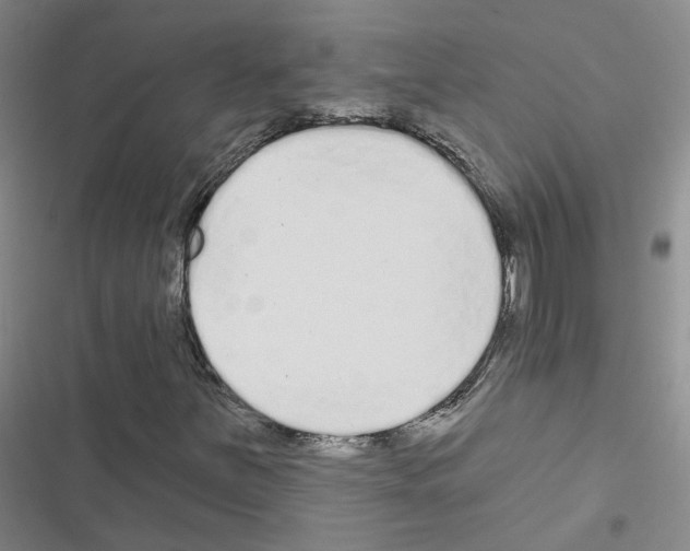 X0000116431251201001191503