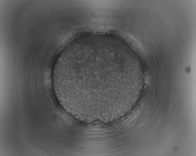 X0000116431252201001191503