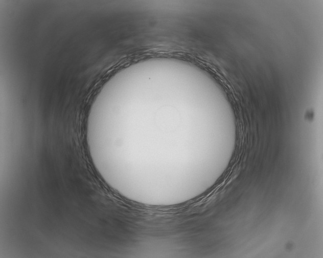 X0000116431253201001191503
