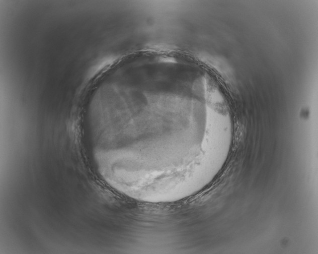 X0000116431254201001191503