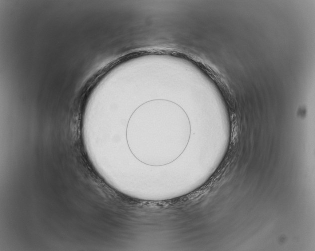 X0000116431255201001191503