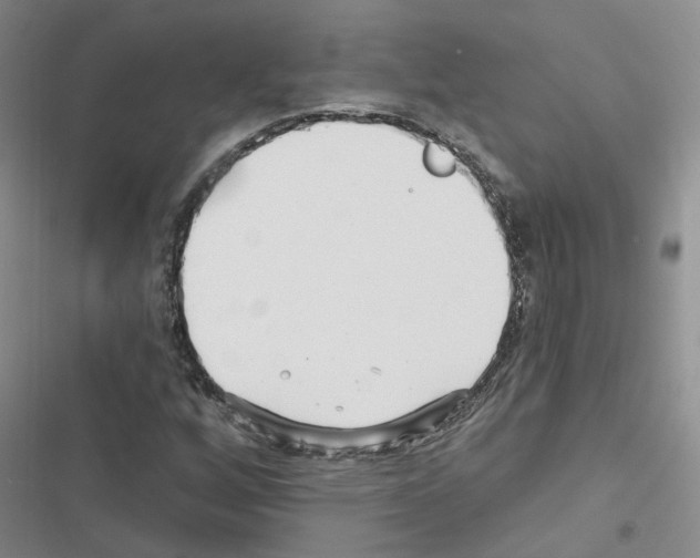 X0000116431256201001191503
