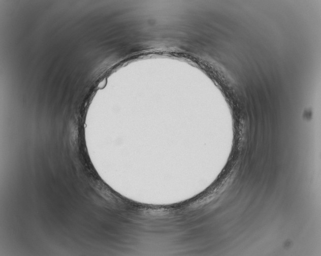 X0000116431257201001191503