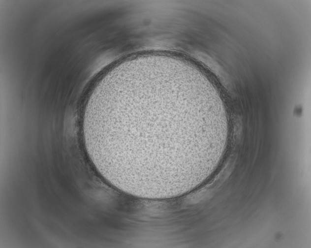 X0000116431258201001191503