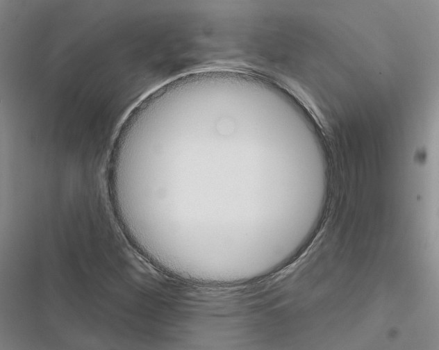 X0000116431260201001191503