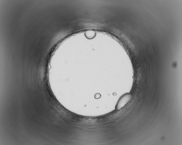 X0000116431261201001191503