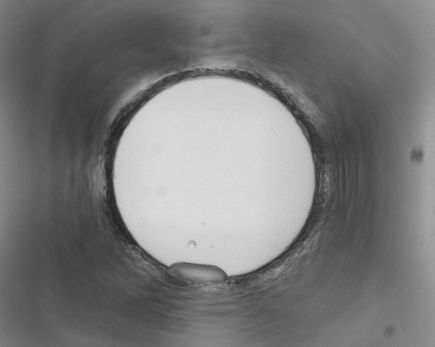 X0000116431262201001191503