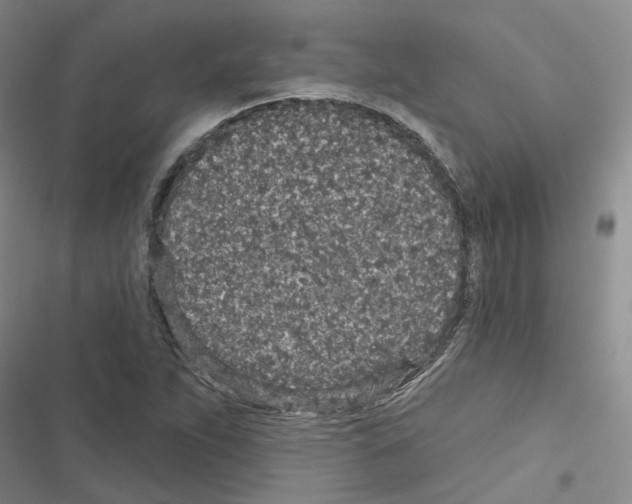 X0000116431263201001191503