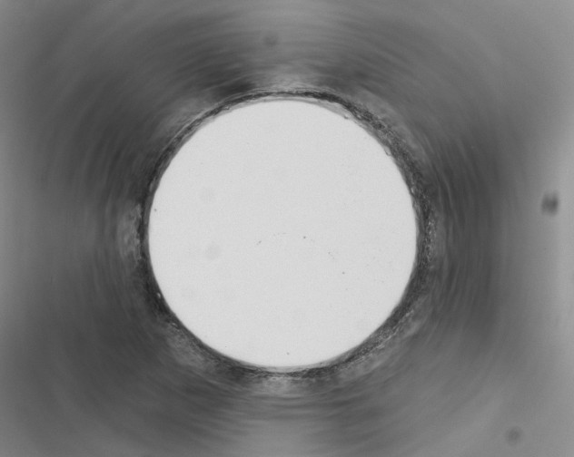 X0000116431265201001191503