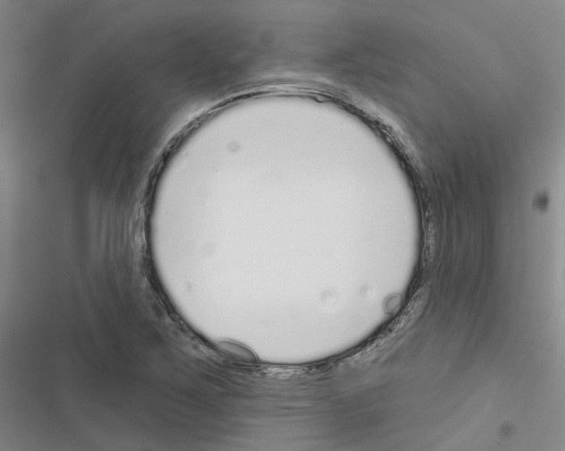 X0000116431267201001191503