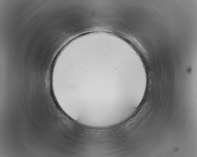 X0000116431268201001191503