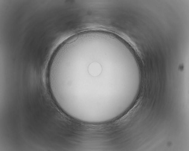 X0000116431269201001191503
