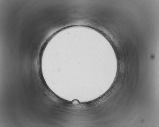 X0000116431270201001191503