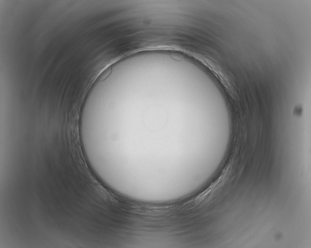 X0000116431273201001191503