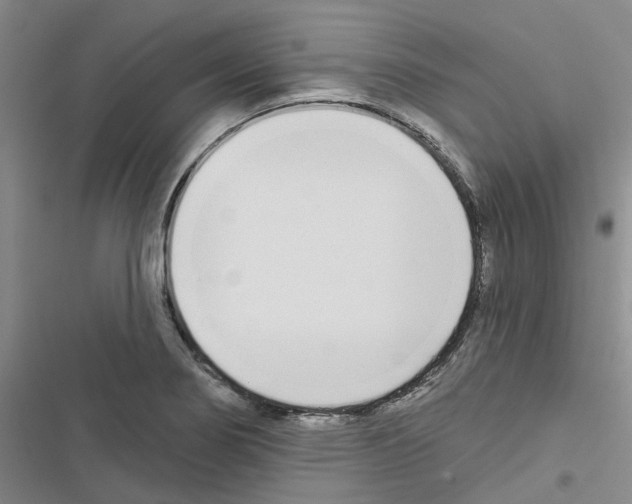X0000116431274201001191503