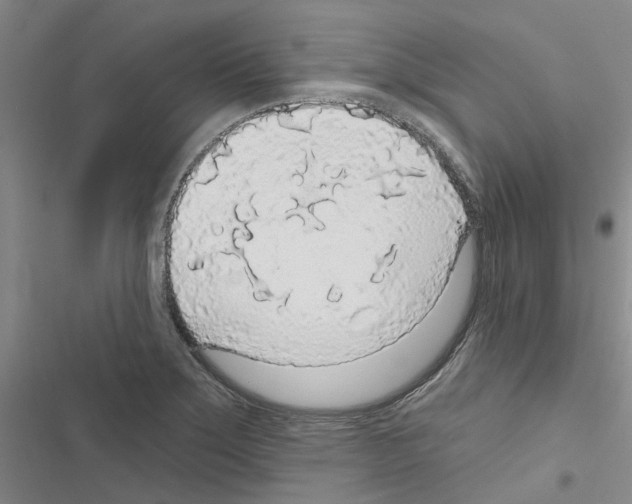 X0000116431275201001191503