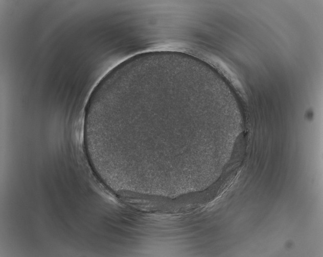 X0000116431276201001191503