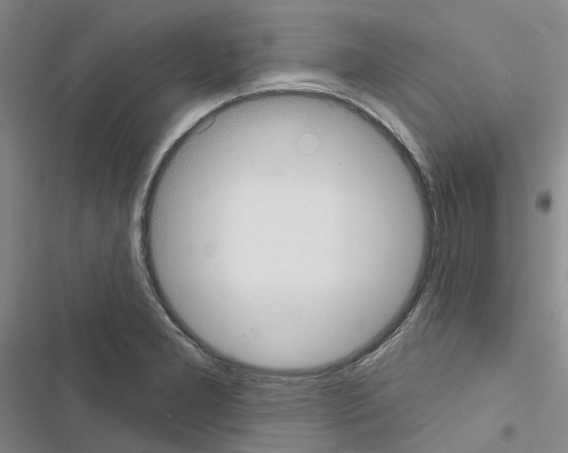 X0000116431277201001191503